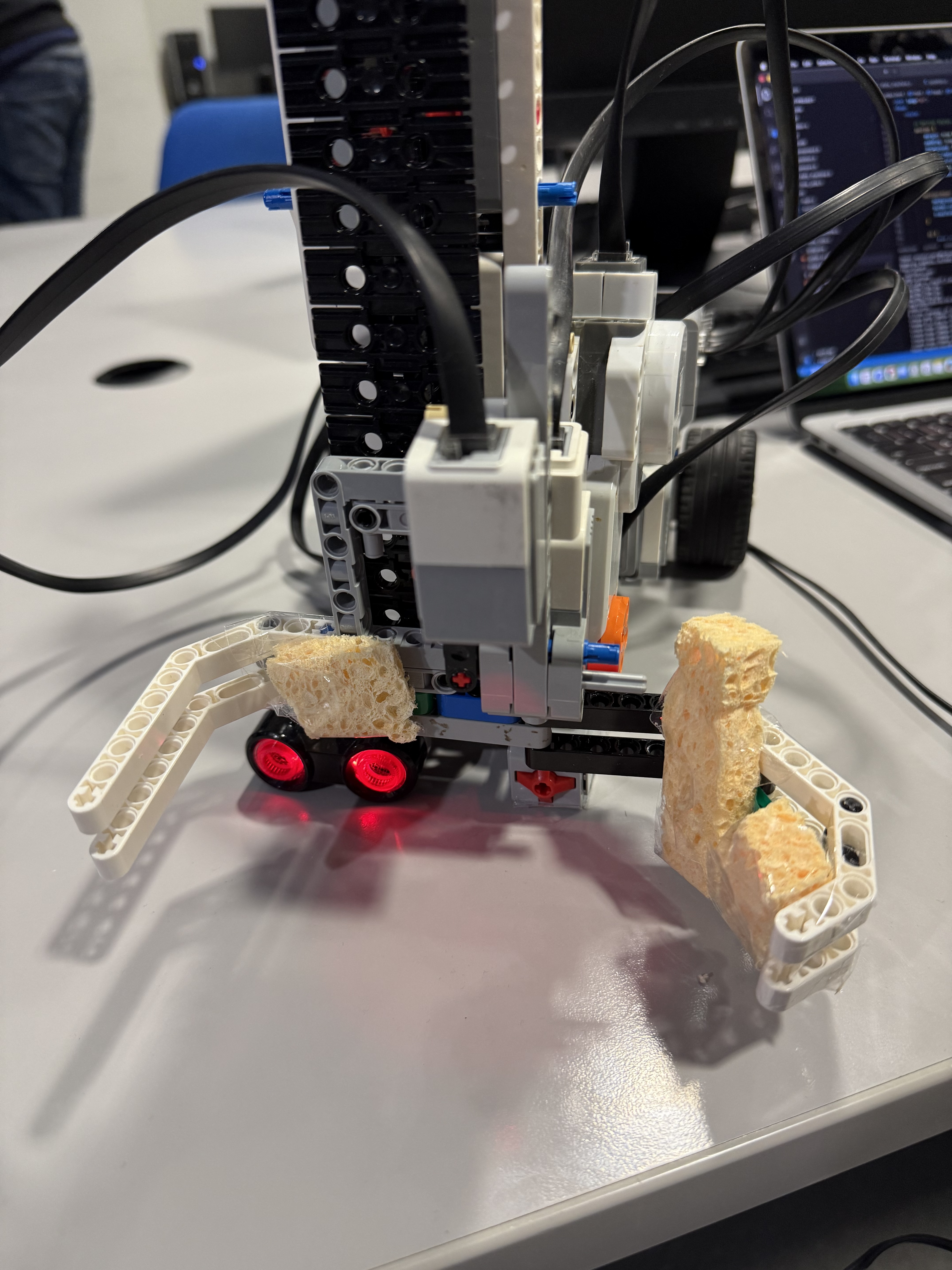 Gripper with Sponges